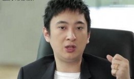 娱乐圈爆料张某某事件,揭秘背后真相与影响